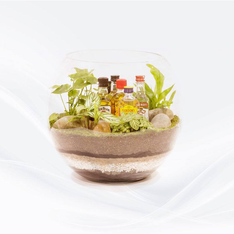 Terrarium Gift Item 04