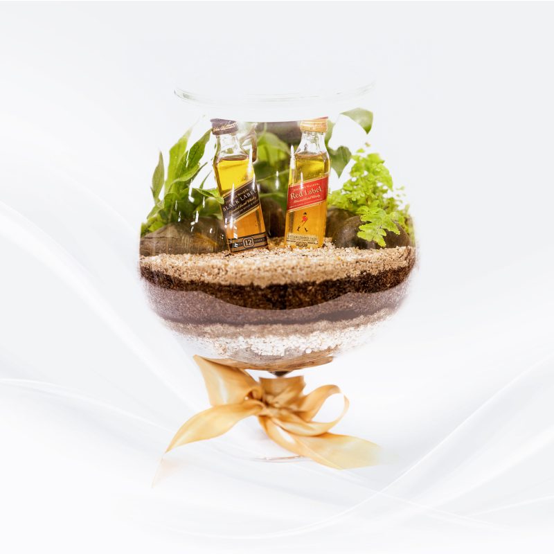 Terrarium Gift Item 05