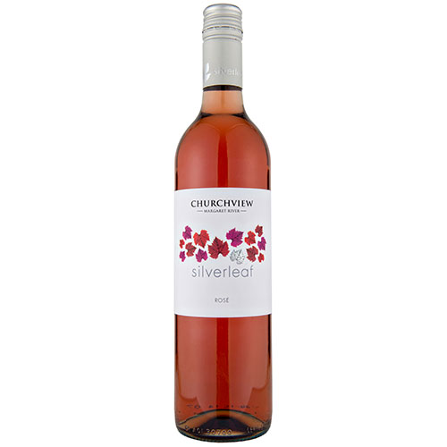CHURCHVIEW SILVERLEAF ROSE